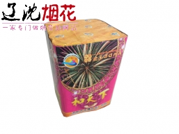 12号25发和天下系列/25cm