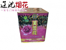 10号25发芙蓉花礼花