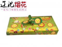 沈阳向阳花/中号儿童烟花