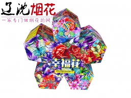 沈阳 幸福花 烟花