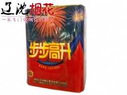 1.1号19发步步高升