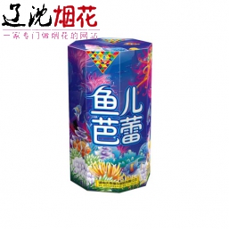 沈阳鱼儿芭蕾烟花