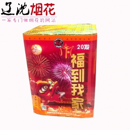 20发/福到我家/开门见财/富贵盈门